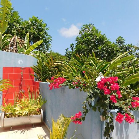 Les Hauts De Sainte-Anne "2 Spas Privatifs" מראה חיצוני תמונה